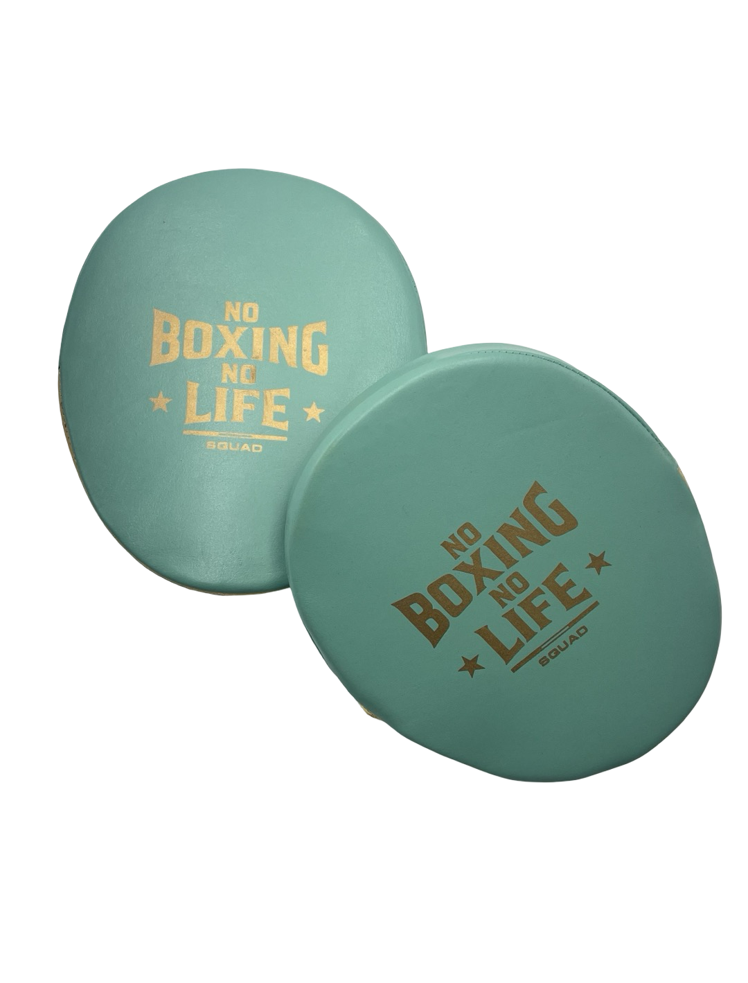 No Boxing No Life Precision Mitts - Black/ Tiffany/ Metallic Gold