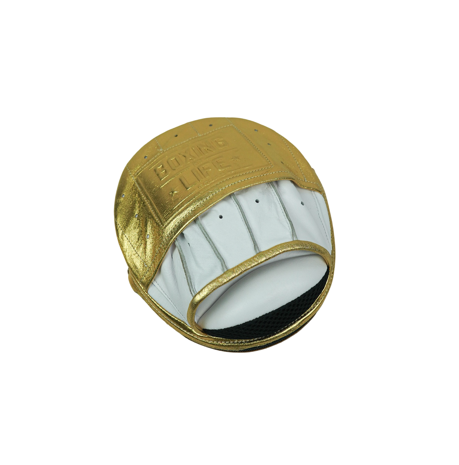 No Boxing No Life Precision Mitts - Metallic Gold/ White