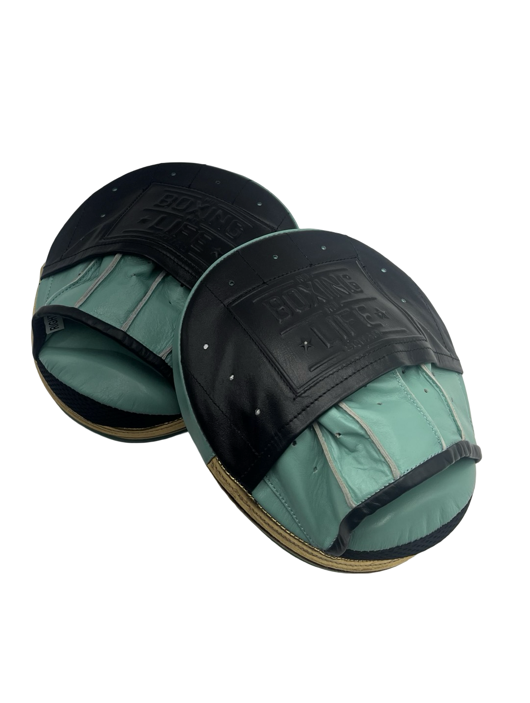 No Boxing No Life Precision Mitts - Black/ Tiffany/ Metallic Gold