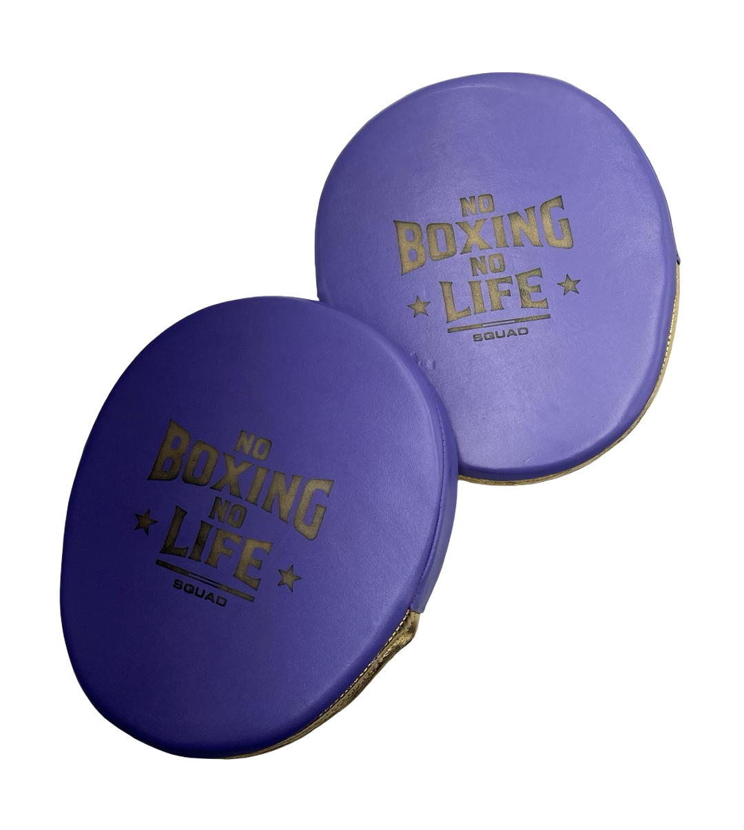 No Boxing No Life Precision Target Mitts - Lila / Metallic Gold