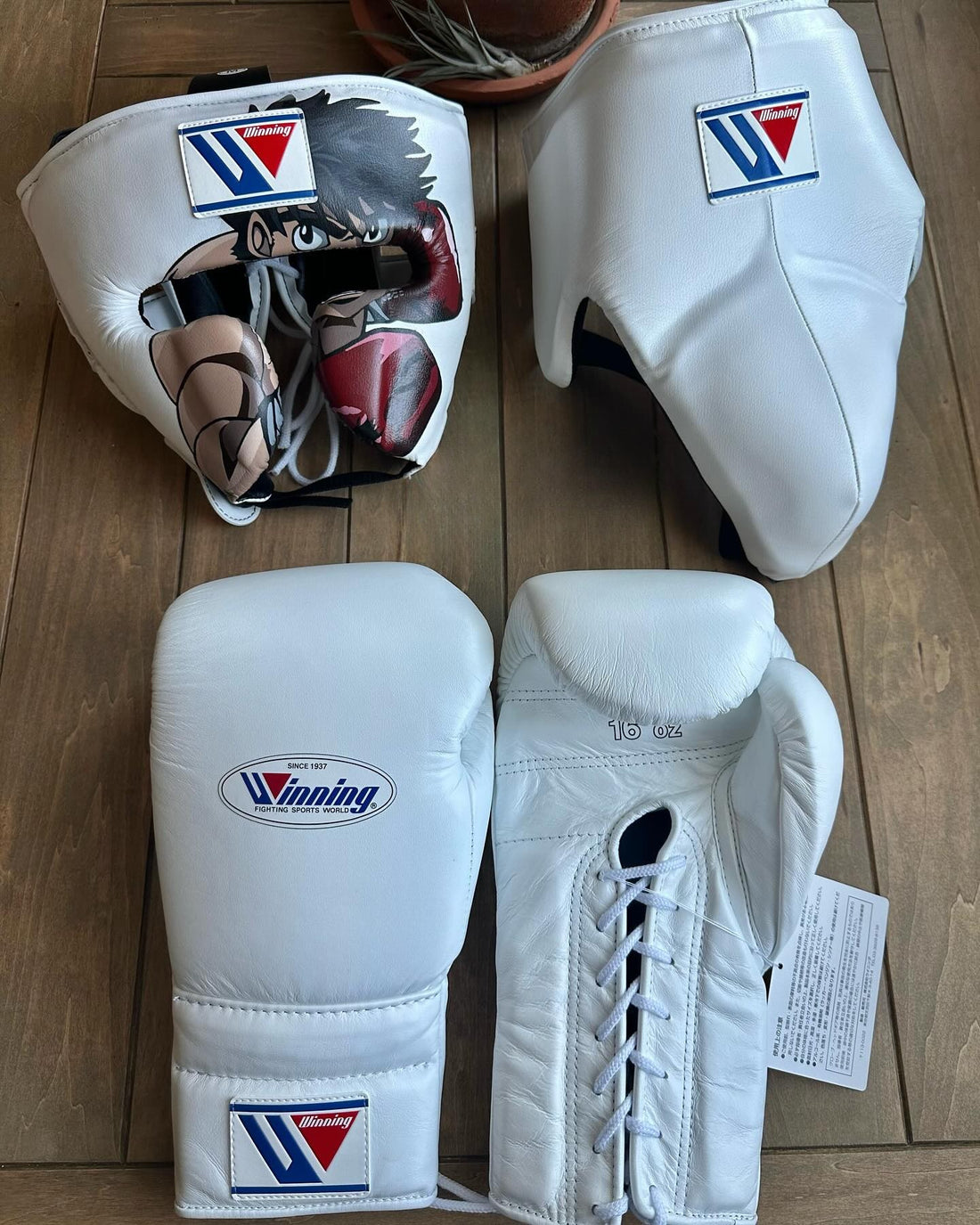 Customizable White Winning Boxing Sets With Cheeks Head Guard