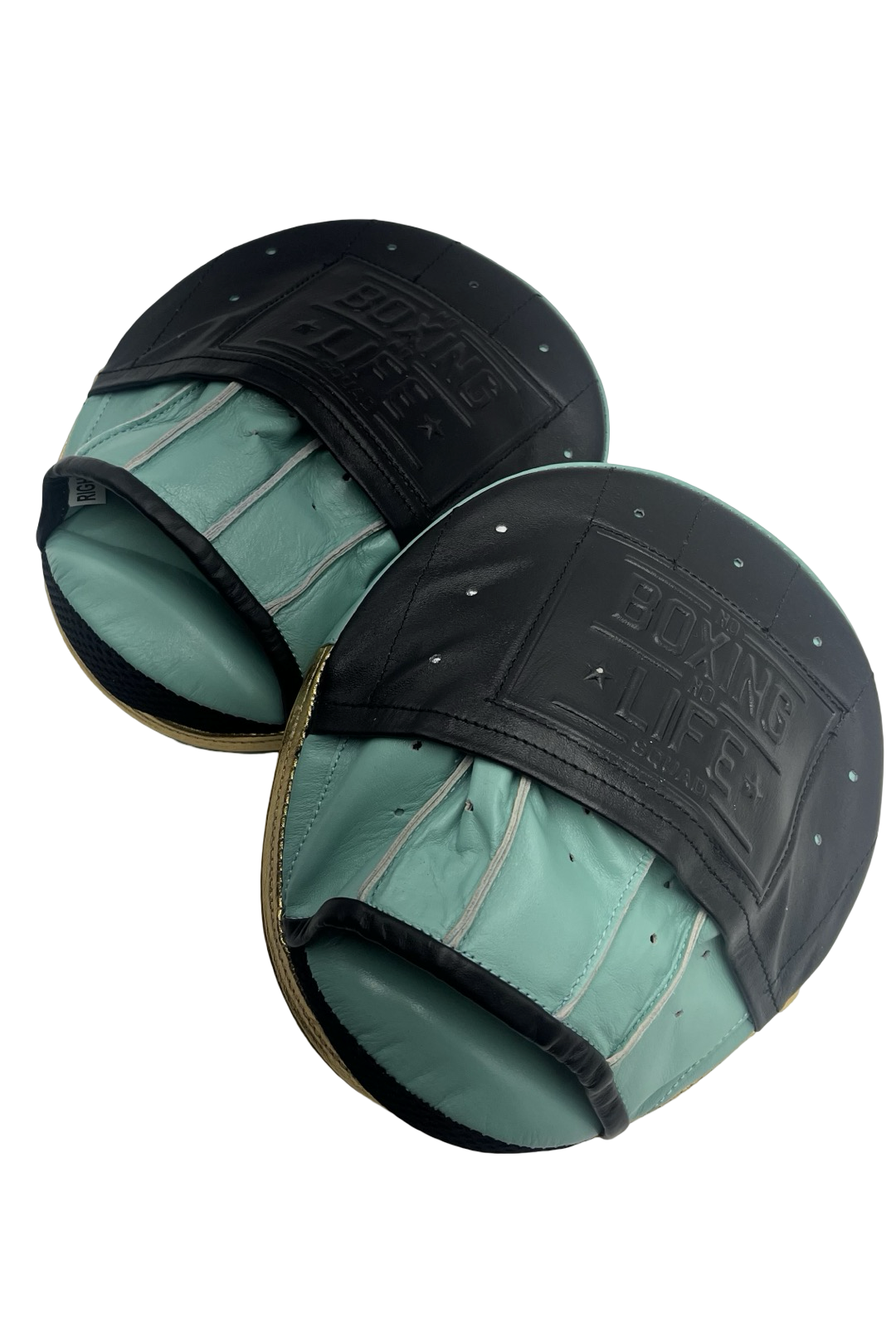 No Boxing No Life Precision Mitts - Black/ Tiffany/ Metallic Gold