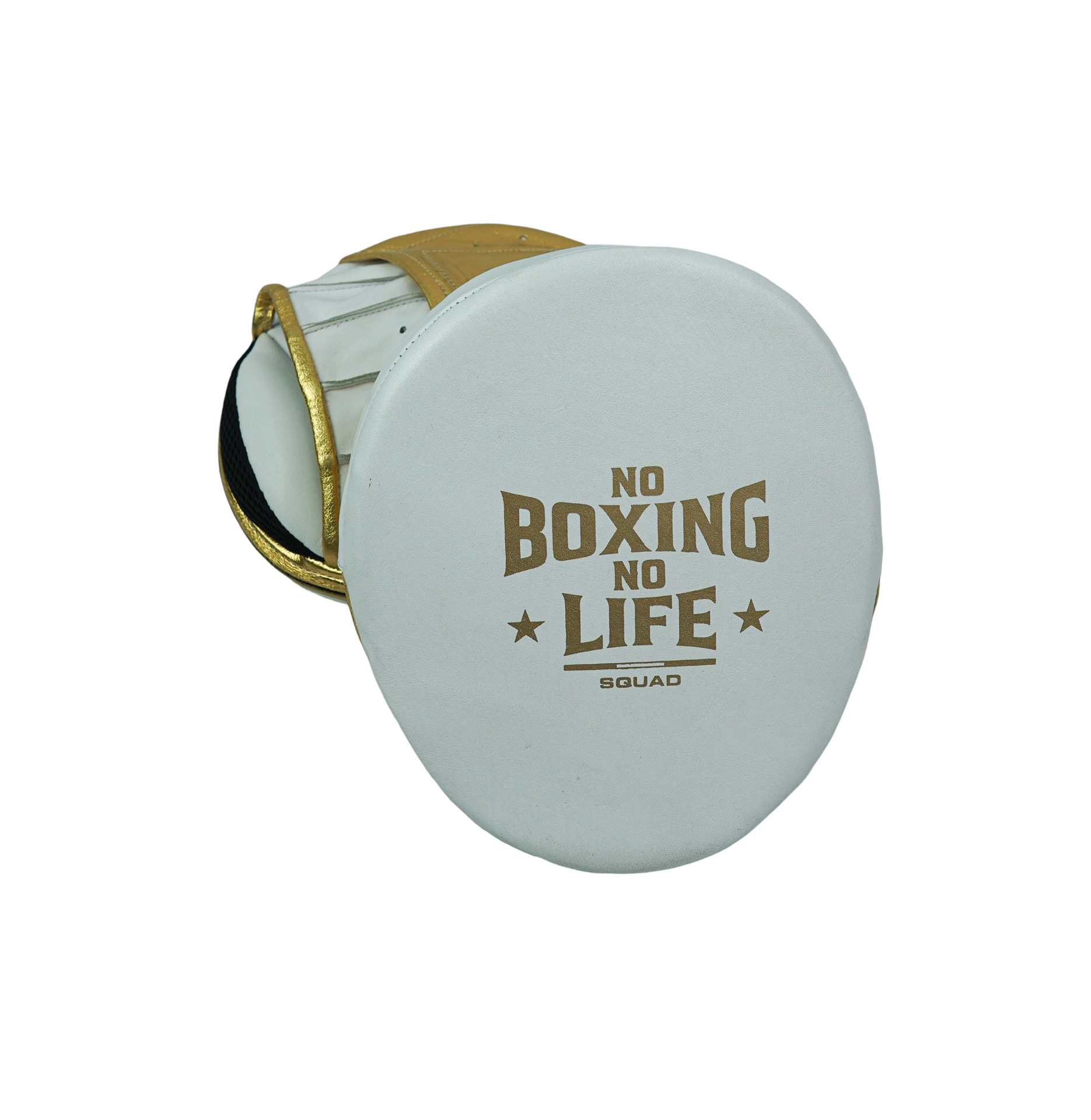No Boxing No Life Precision Mitts - Metallic Gold/ White