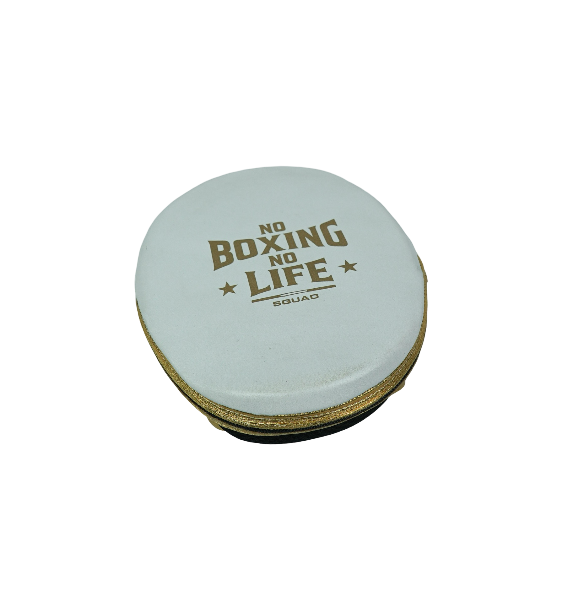 No Boxing No Life Precision Mitts - Metallic Gold/ White