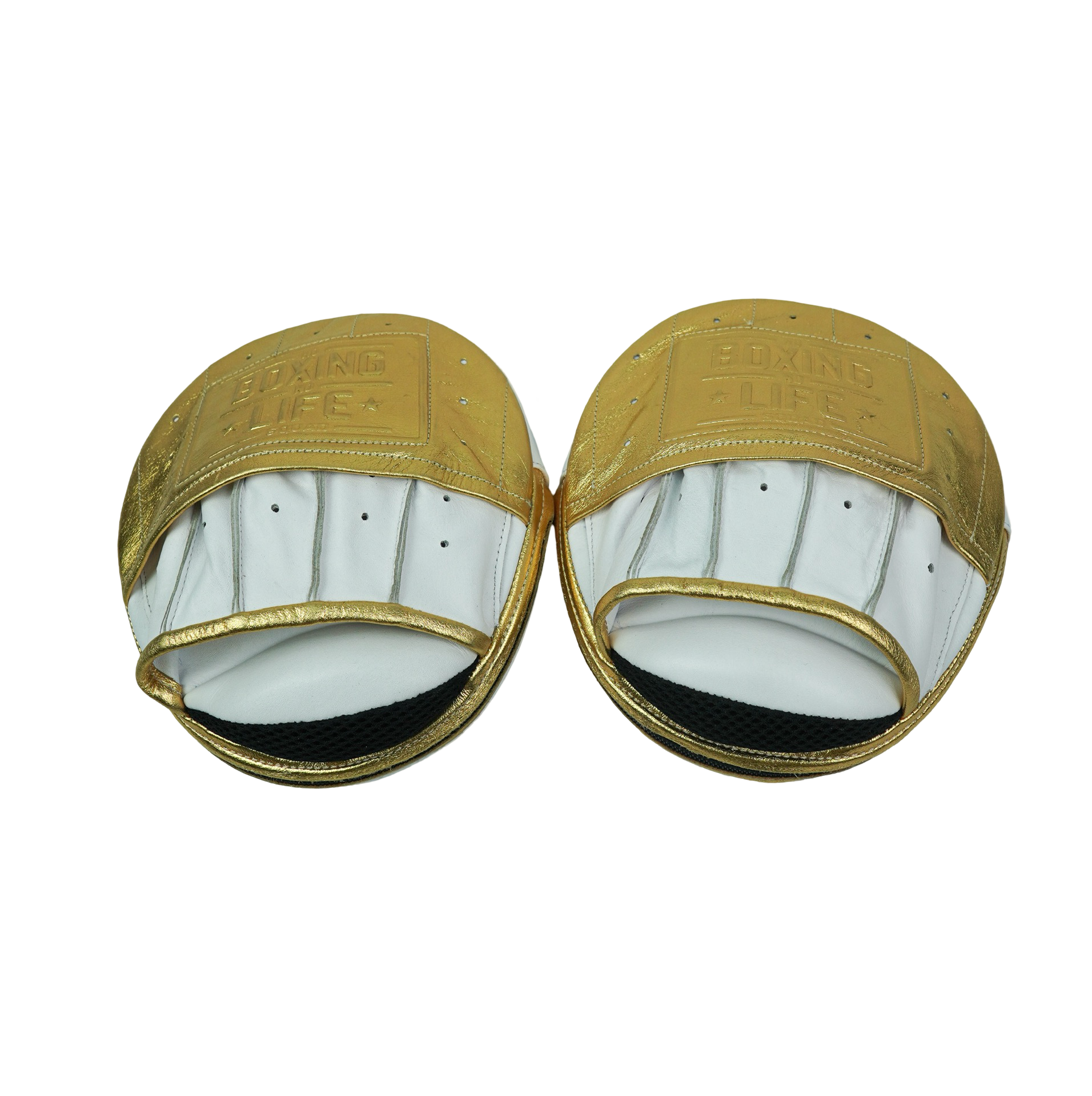 No Boxing No Life Precision Mitts - Metallic Gold/ White