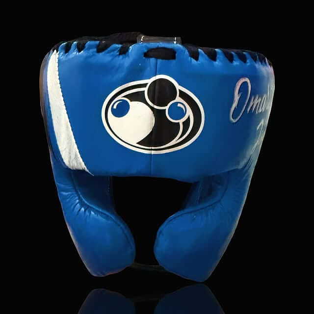 Customizable Blue/Black/Silver Grant Boxing Sets With Cheeks Head Guard and Groin Guard Protector